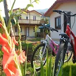 Flora Hotel 3*
