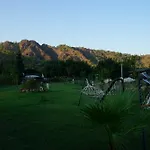 Flora Çıralı
