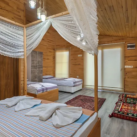 호텔 Flora Çıralı