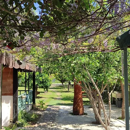 Hotel Flora 3*