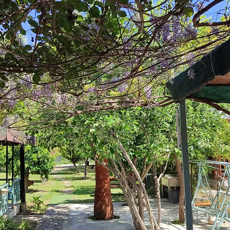 Hotel Flora 3*