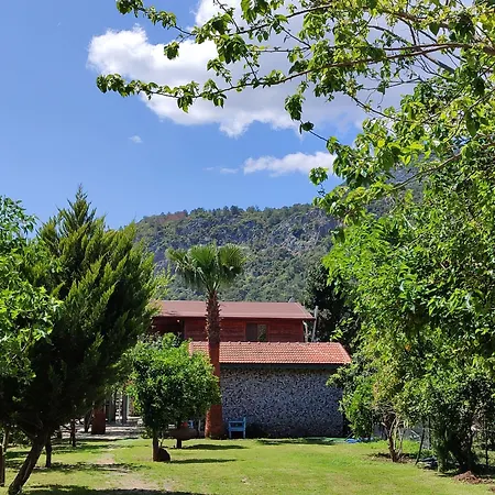 Flora Çıralı