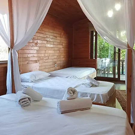 Hotel Flora 3*