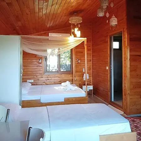 Flora Çıralı