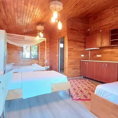 Flora 3* Çıralı