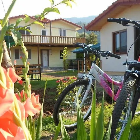 Flora Hotel 3*