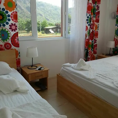 호텔 Flora Çıralı