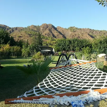 Flora Hotel 3*