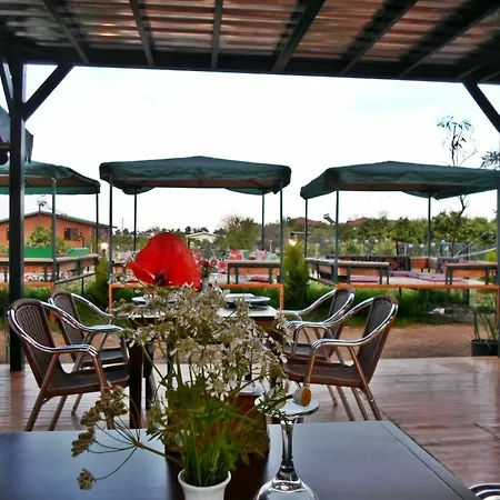 Flora Hotel 3*