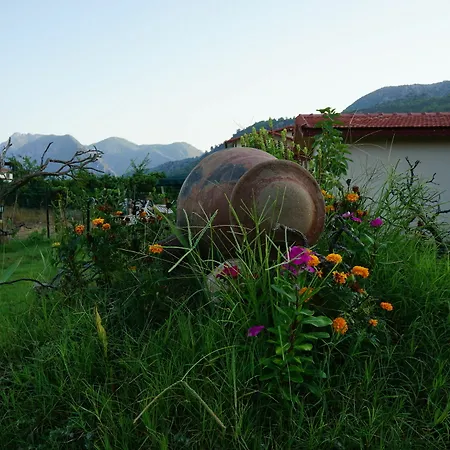 Flora